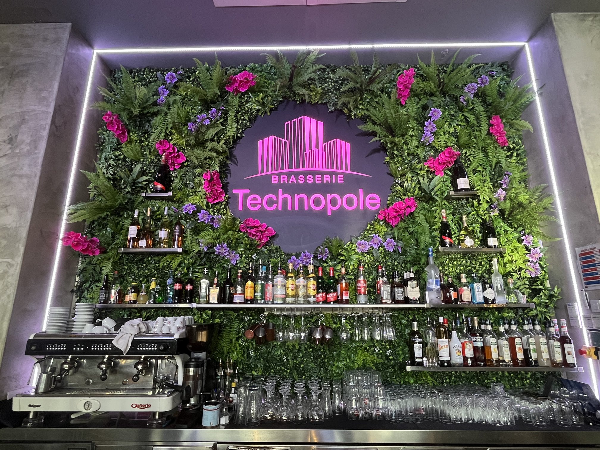 Gros plan du logo lumineux Brasserie Technopole entouré d'orchidées roses et violettes artificielles