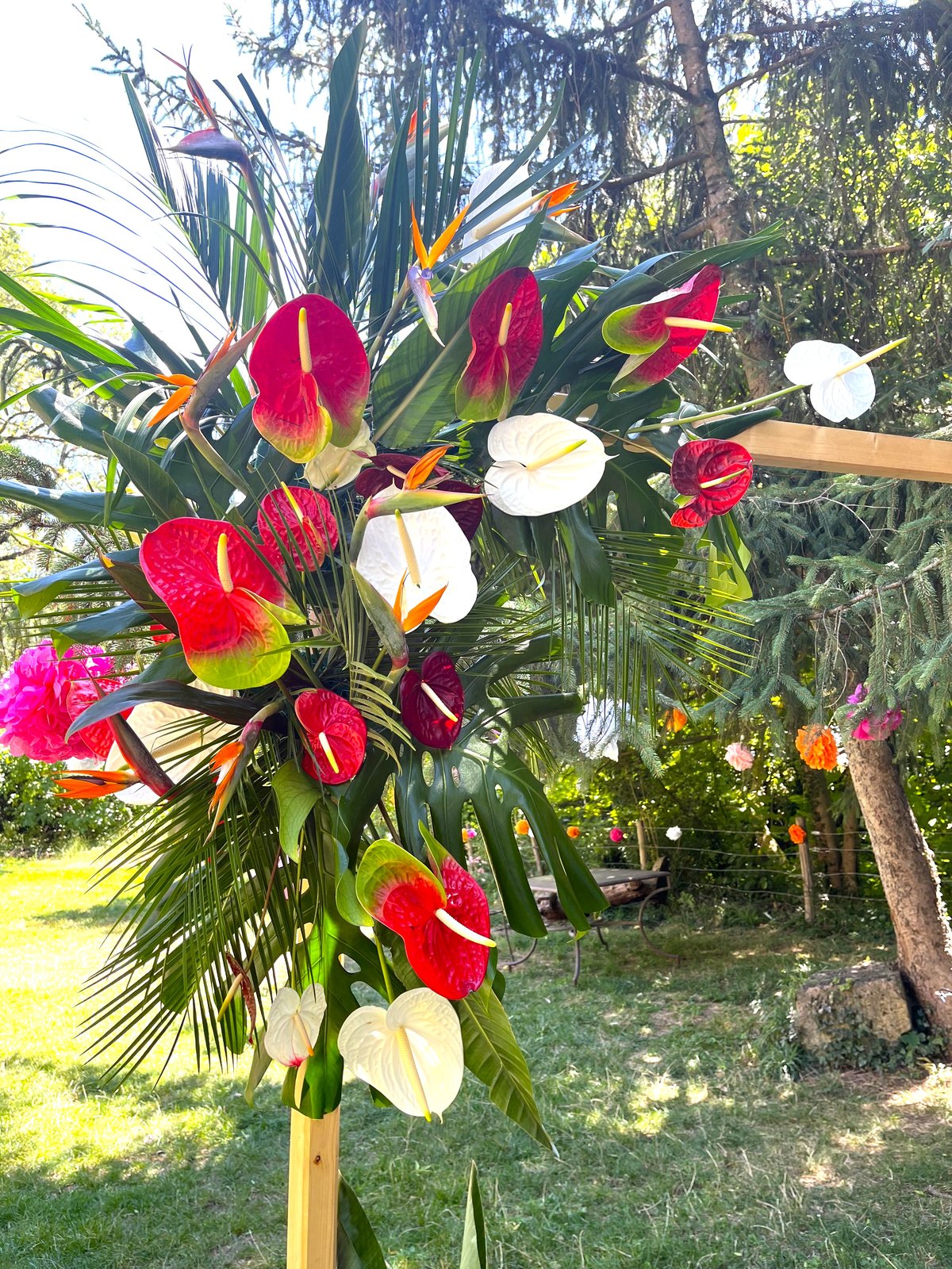 Arche de mariage tropicale en anthuriums rouges et blancs et oiseaux de paradis